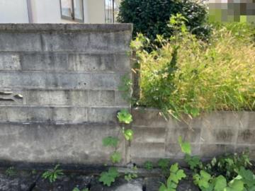 その他画像(2025年9月)