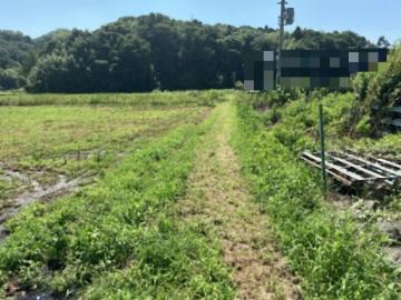 現地土地写真(2025年9月)