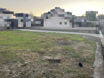 現地土地写真(2025年11月)