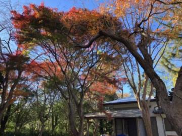 外観(2025年11月)