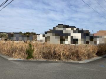 現地土地写真(2025年12月)