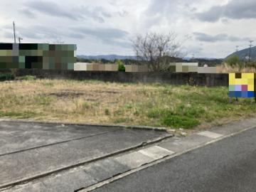 現地土地写真(2026年4月)