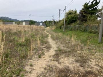 現地土地写真(2026年4月)