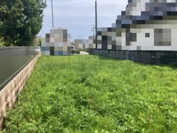 現地土地写真(2026年4月)