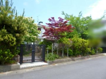 現地土地写真(2026年6月)