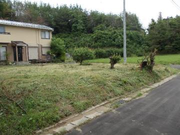 現地土地写真(2015年6月)