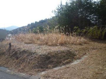 現地土地写真 現地土地写真