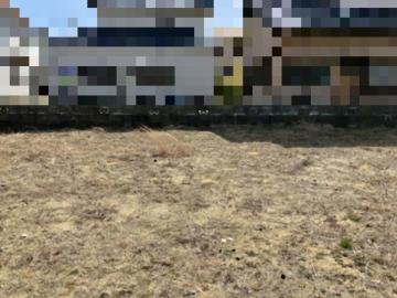 現地土地写真(2025年3月)