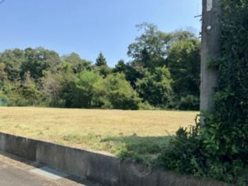 現地土地写真(2025年8月)