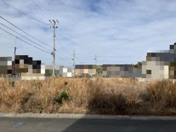 現地土地写真(2025年12月)