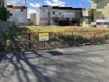 現地土地写真(2026年1月)