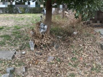 現地土地写真(2026年2月)