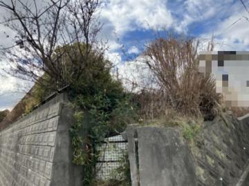 現地土地写真(2026年2月)