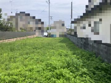 現地土地写真(2026年4月)
