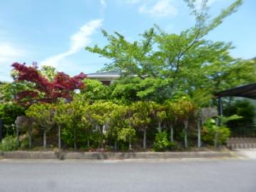 現地土地写真(2026年6月)