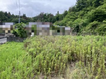 現地土地写真(2026年6月)