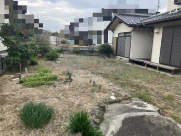 庭(2025年4月)