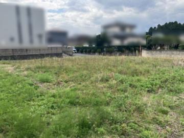 現地土地写真(2026年10月)