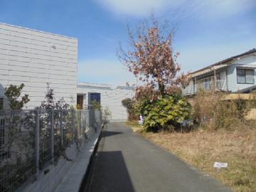 現地土地写真(2019年3月)
