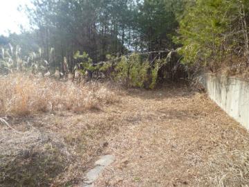 現地土地写真 現地土地写真