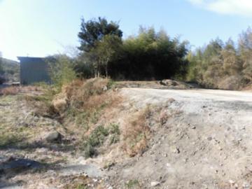 現地土地写真(2023年2月)