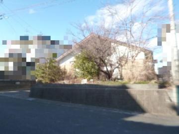 現地土地写真(2025年1月)