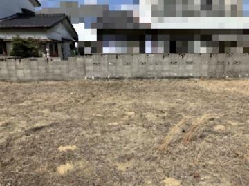 現地土地写真(2025年3月)