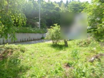 現地土地写真(2025年5月)