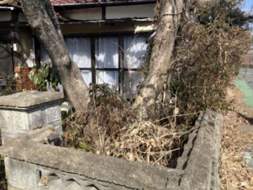 現地土地写真(2026年2月)