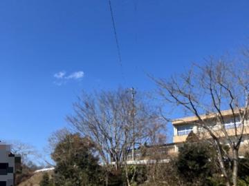 その他画像(2026年2月)