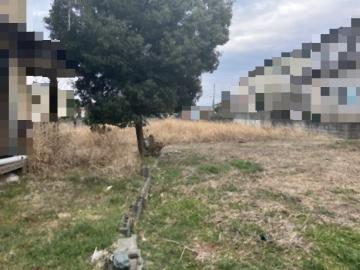 現地土地写真(2026年2月)