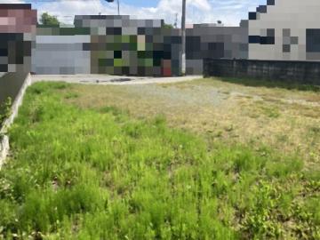 現地土地写真(2026年5月)
