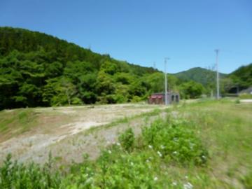 現地土地写真(2026年5月)