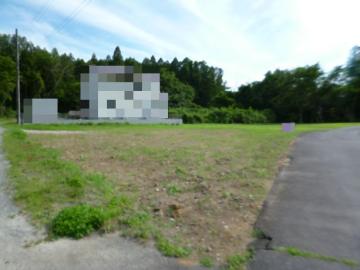 現地土地写真(2026年6月)