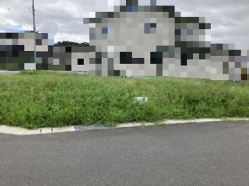 現地土地写真(2026年8月)