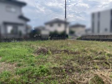 現地土地写真(2026年10月)