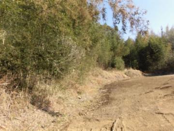 現地土地写真(2023年2月)