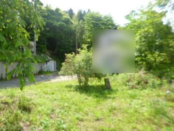 現地土地写真(2025年5月)