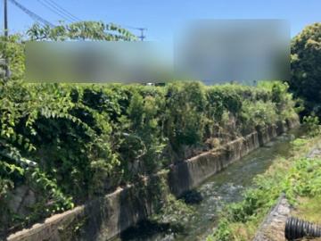 現地土地写真(2025年7月)