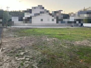 現地土地写真(2025年11月)