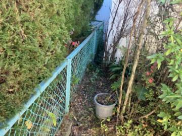 現地土地写真(2025年11月)