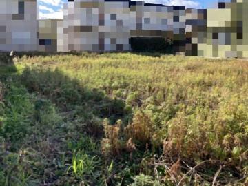 現地土地写真(2026年1月)