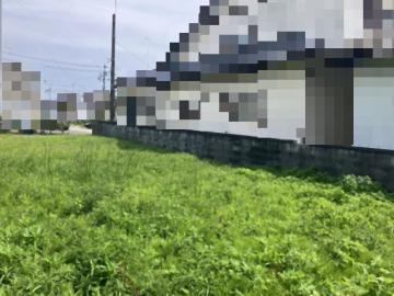 現地土地写真(2026年4月)