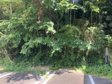 現地土地写真(2026年8月)