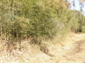 現地土地写真(2023年2月)