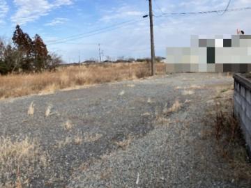 現地土地写真(2025年2月) 現地土地写真(2025年2月)