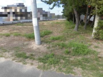 現地土地写真(2025年8月)