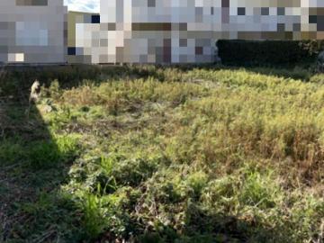 現地土地写真(2026年1月)