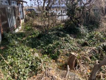 現地土地写真(2026年2月)