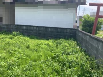 現地土地写真(2026年4月)
